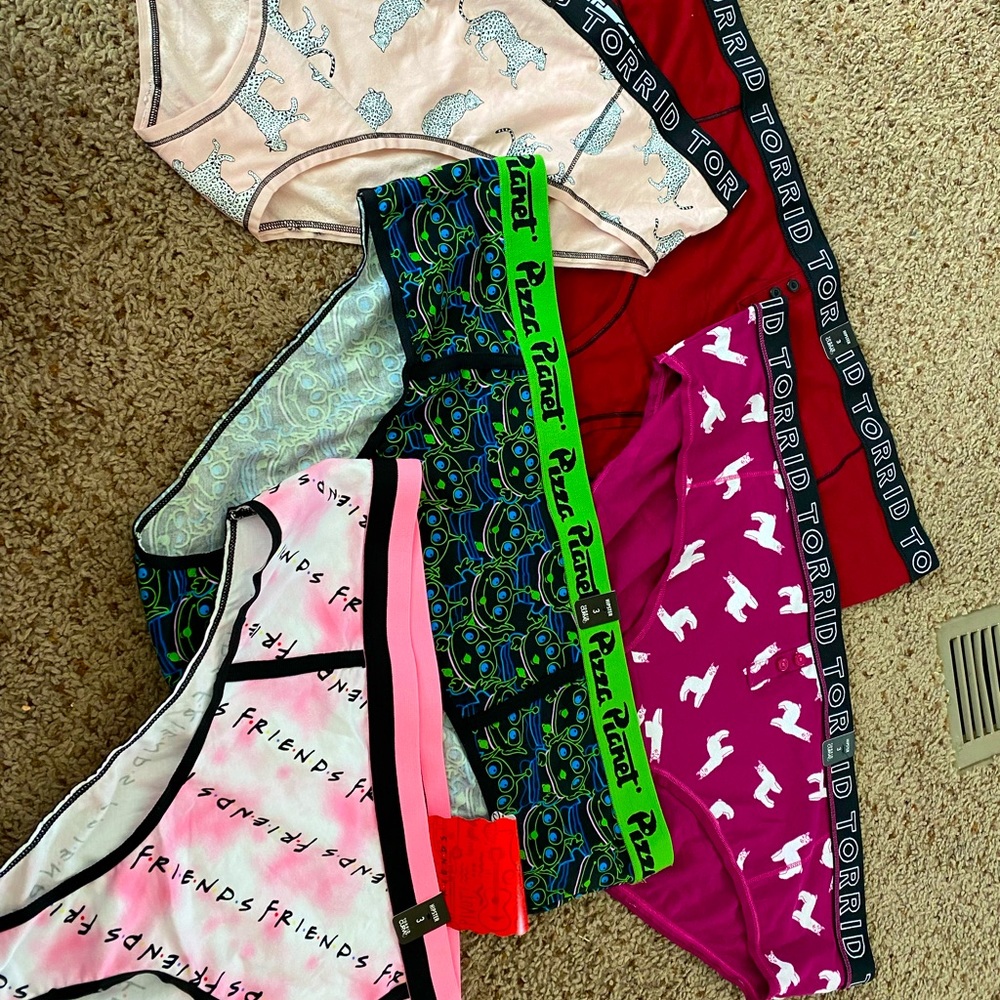 🌸Brand New Torrid Size 3 Underwear Lot🌸